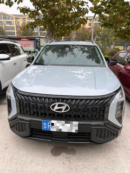 【现代bluelink官网,现代bluelink支持哪些车型】