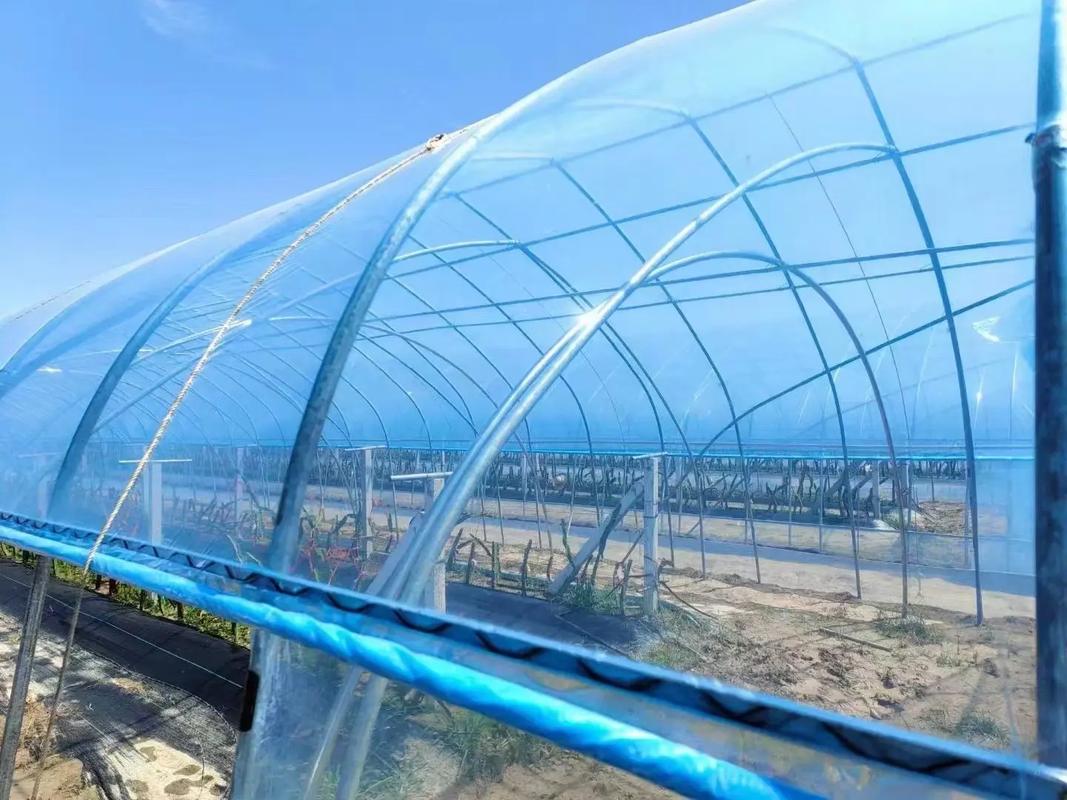 中国十大po膜品牌 po膜排名