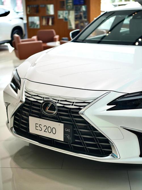 开es200一般什么档次人 买es200的都是什么人