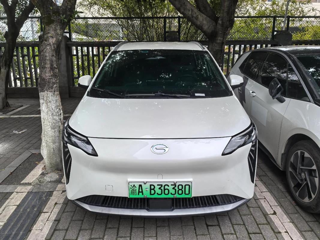 【豪华车网约车平台哪个好,网约车豪华型的车是什么车?】