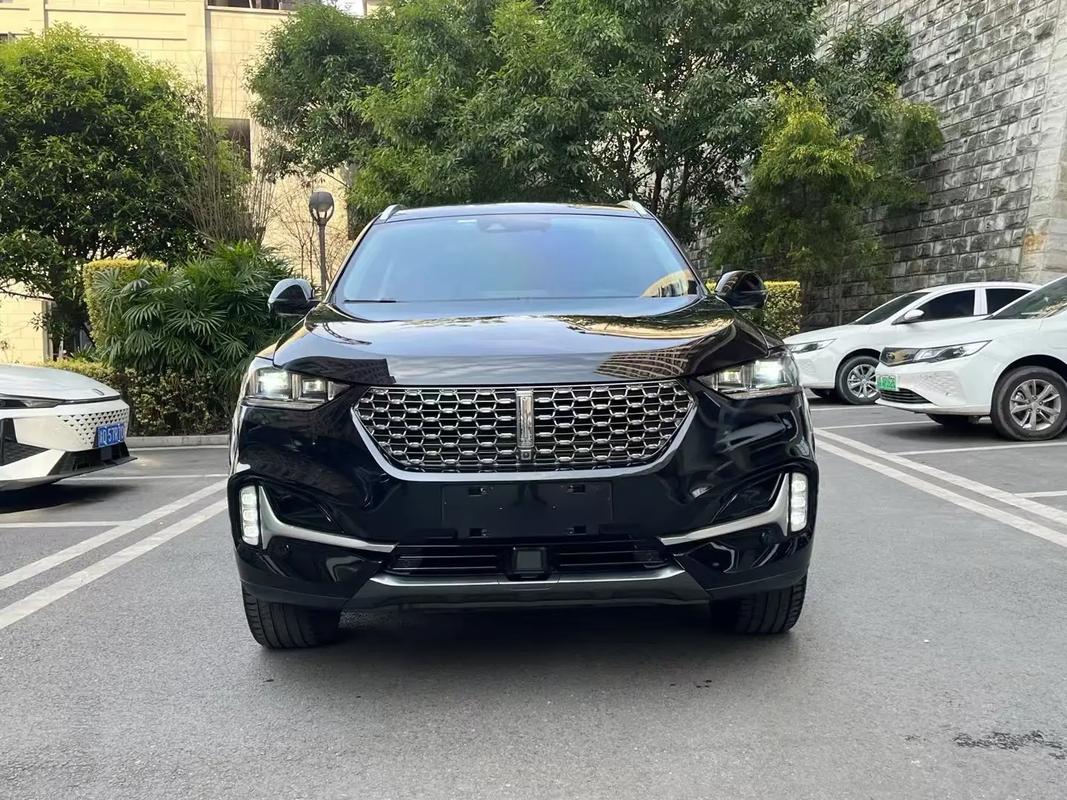 weyvv6落地价多少钱/2021款weyvv6质量到底怎么样